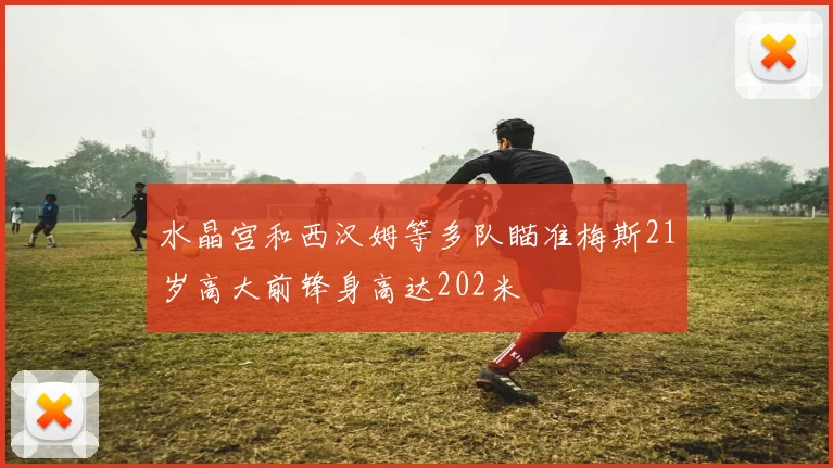 水晶宫和西汉姆等多队瞄准梅斯21岁高大前锋身高达202米