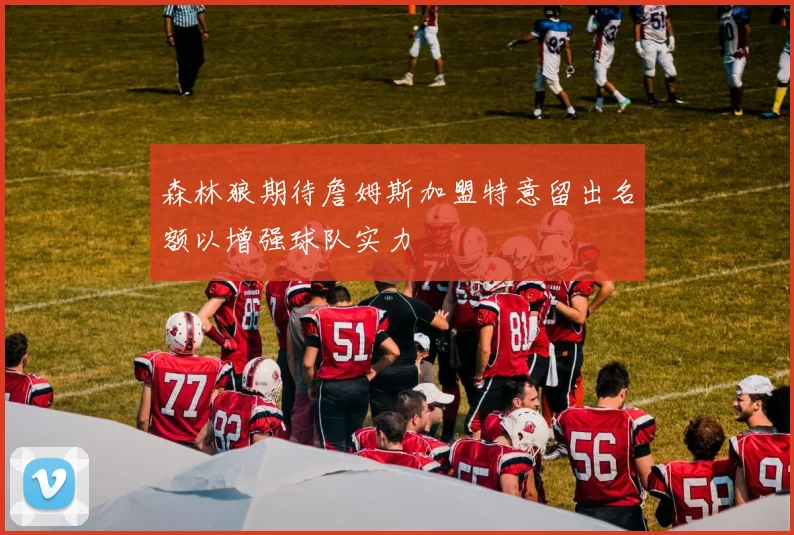 森林狼期待詹姆斯加盟特意留出名额以增强球队实力